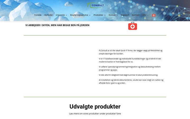 Screenshot of flconsult.dk