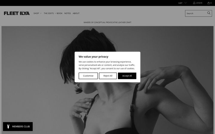 Screenshot of fleetilya.com