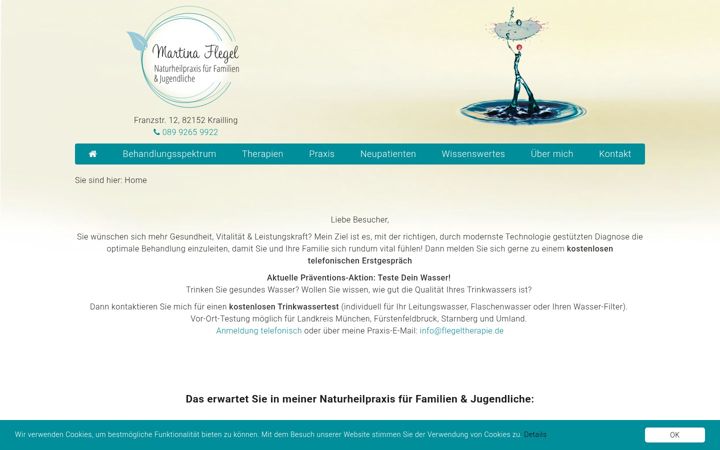 Capture d'écran de flegeltherapie.de