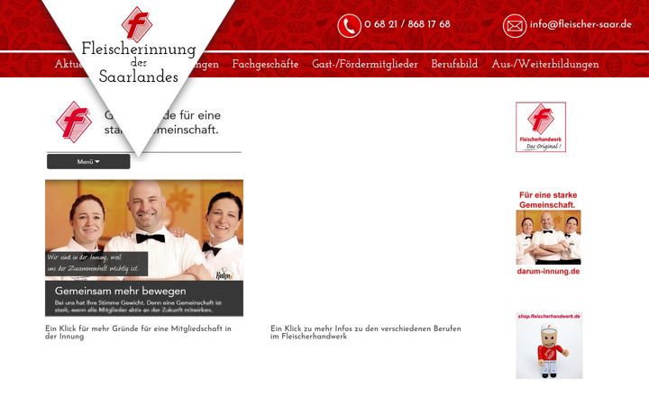 Snímek obrazovky fleischer-saar.de
