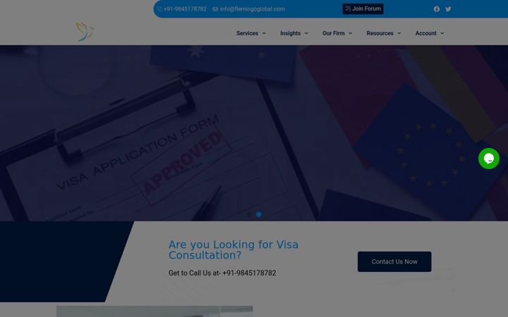 Screenshot of flemingoglobal.com