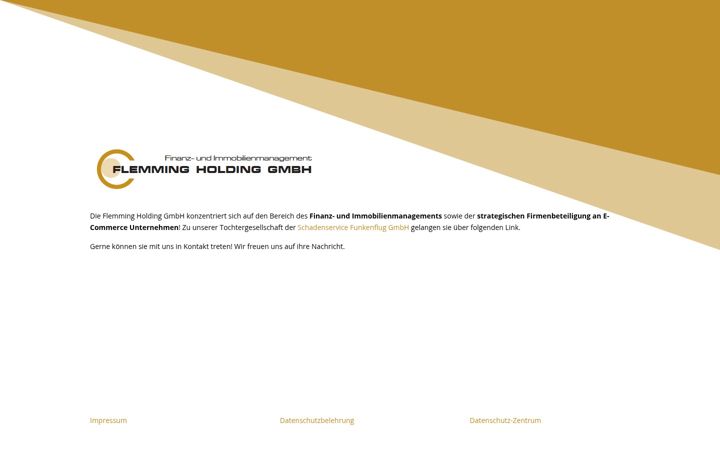 Screenshot of flemming-holding.de