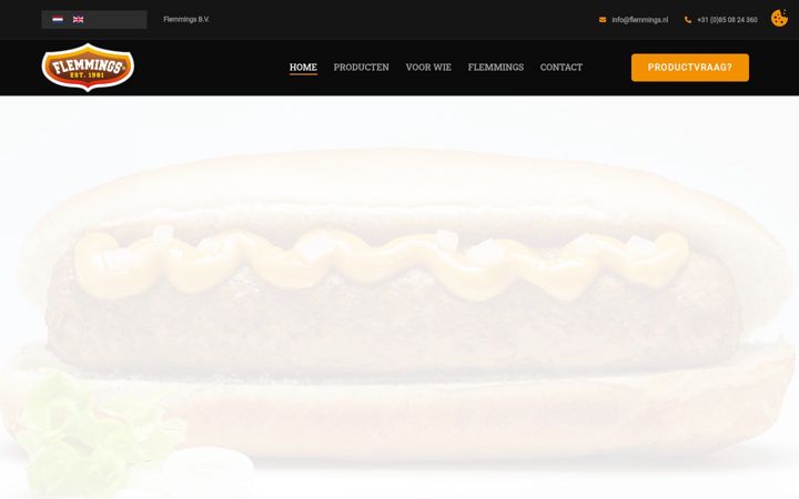 Screenshot of flemmings.nl