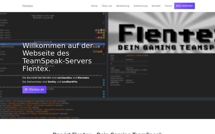 Screenshot of flentex.de