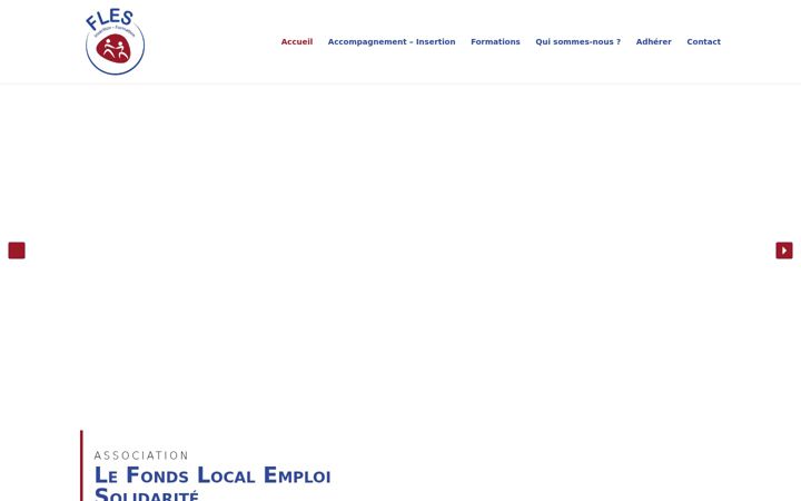 Screenshot of fles-chinon.fr