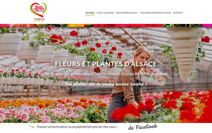Screenshot of fleurs-plantes-alsace.fr