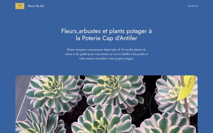 Screenshot of fleursdesel.fr