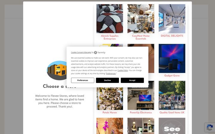 Screenshot of flevee.com
