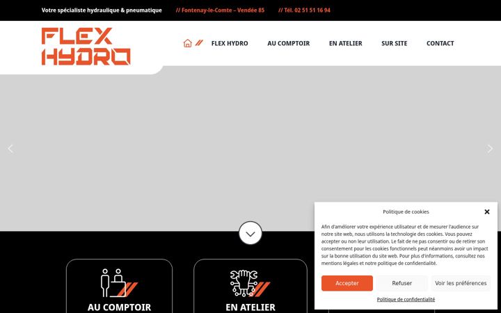 Screenshot of flex-hydro-flexibles.fr