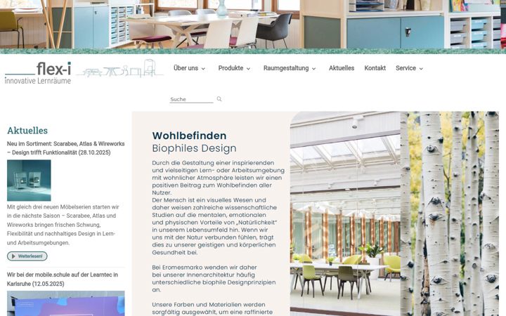 Screenshot of flex-i.eu