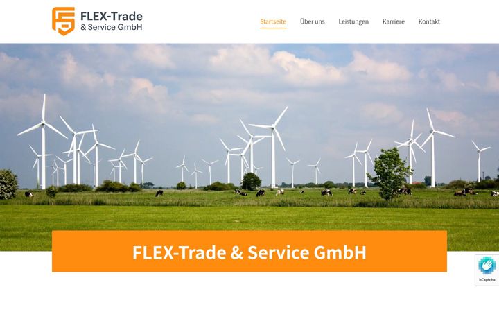 Screenshot of flex-trade.de