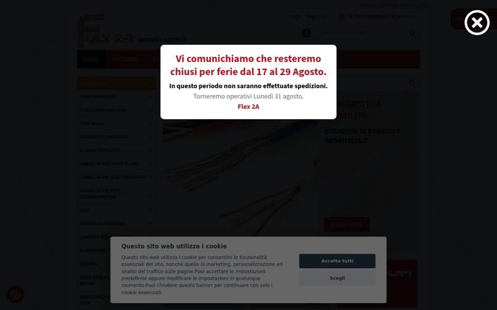 Screenshot of flex2a.it