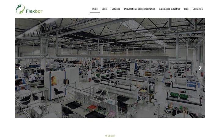 Screenshot of flexbor.com