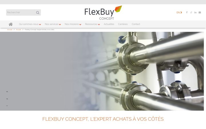 Screenshot of flexbuy-concept.com