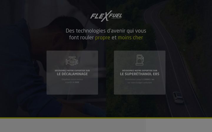 Screenshot of flexfuel-company.com