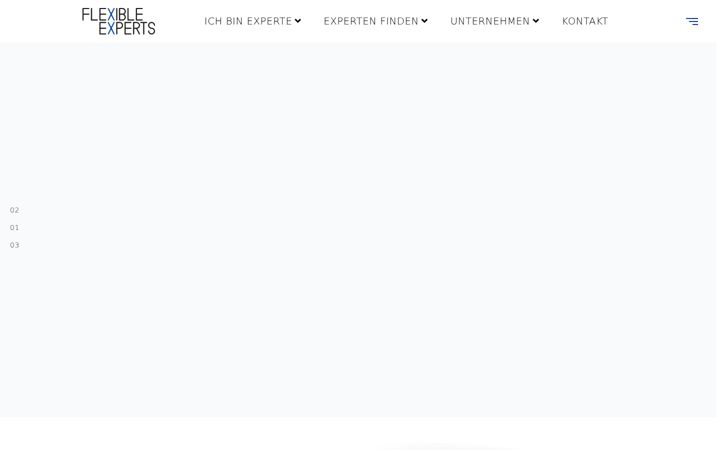 Screenshot of flexible-experts.com