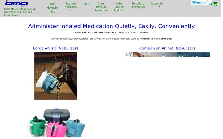 Screenshot of flexineb.co.nz
