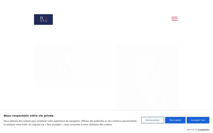 Screenshot di flexpertisesetconseils.info