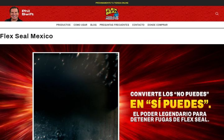 Screenshot of flexseal.com.mx