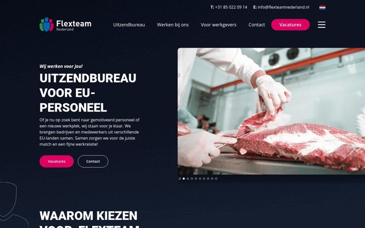 Screenshot of flexteamnederland.nl