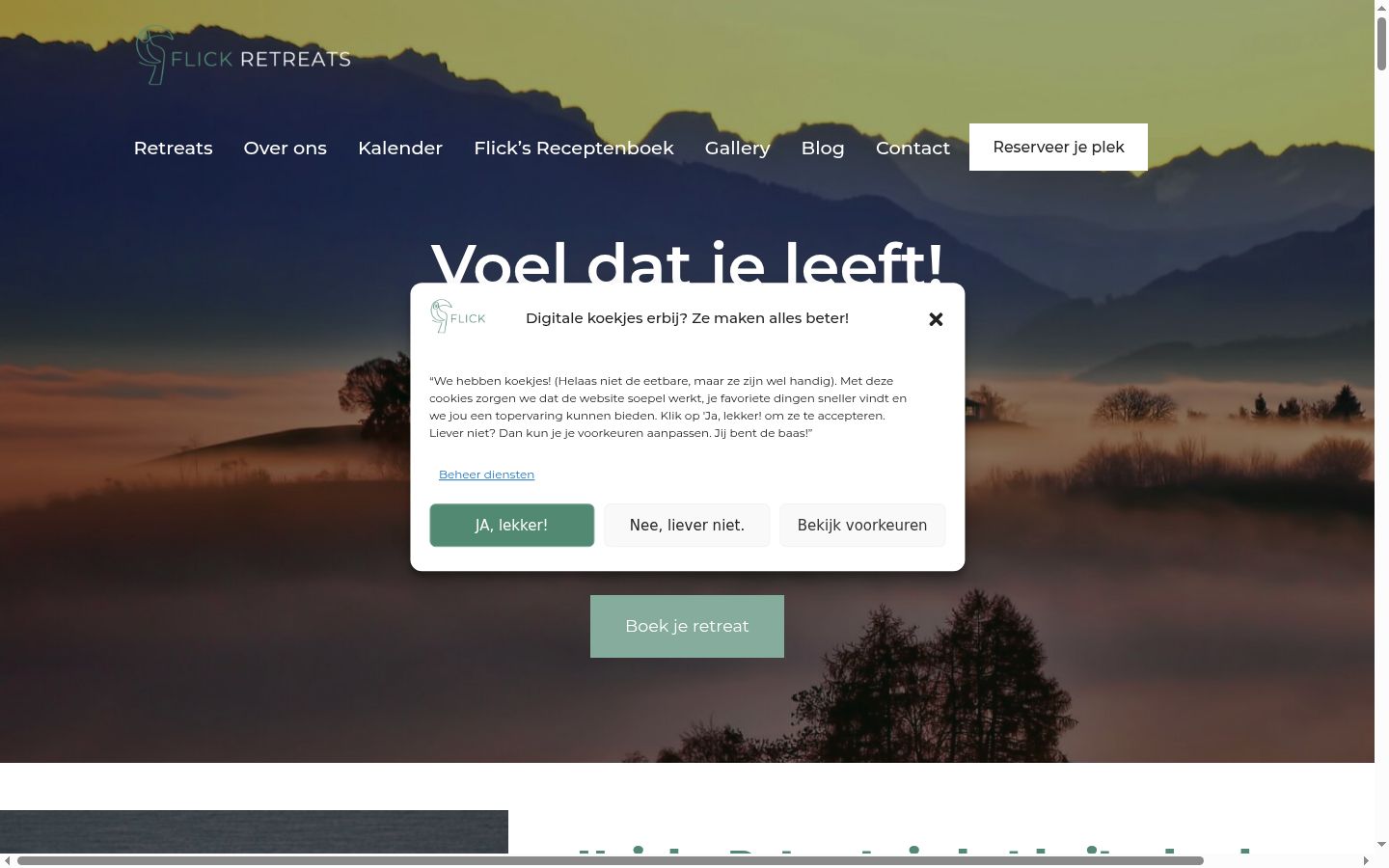 Screenshot of the consent banner shown before any interaction