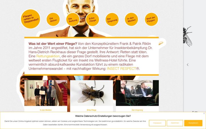 Screenshot of fliegenretten.de