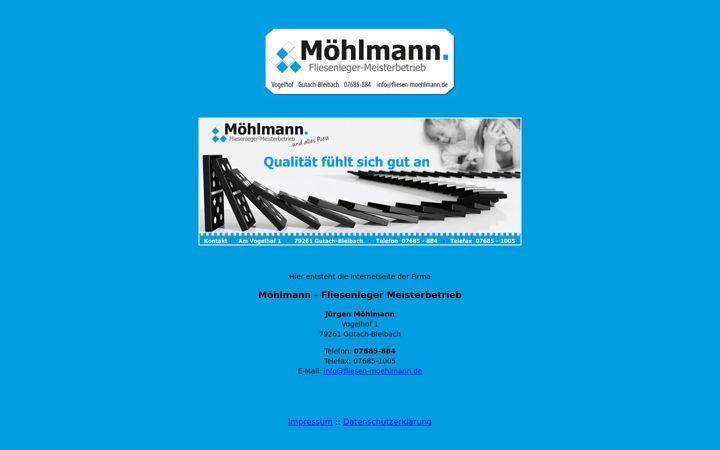 Screenshot of fliesen-moehlmann.de