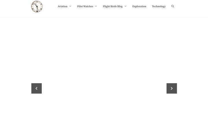 Screenshot stránky flightbirds.net