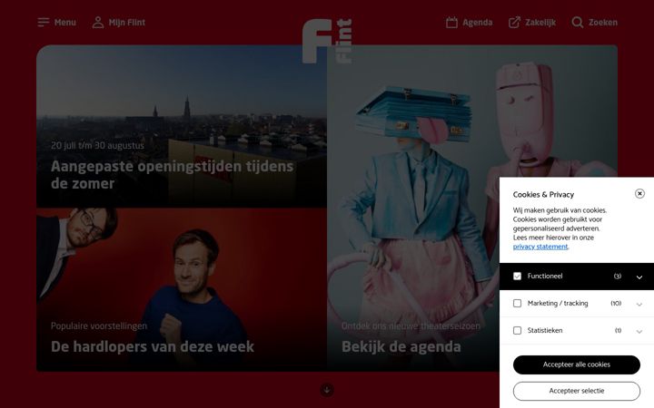 Screenshot of flint.nl