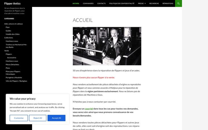 Screenshot of flipperantics.com