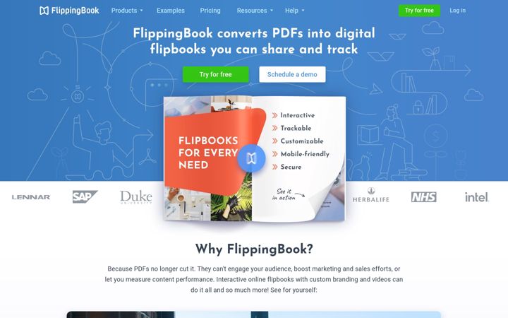 Captură de ecran a flippingbook.com