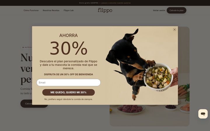 Ekrano kopija flippo.es