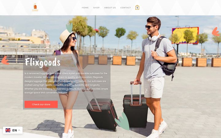 Screenshot of flixgoods.com
