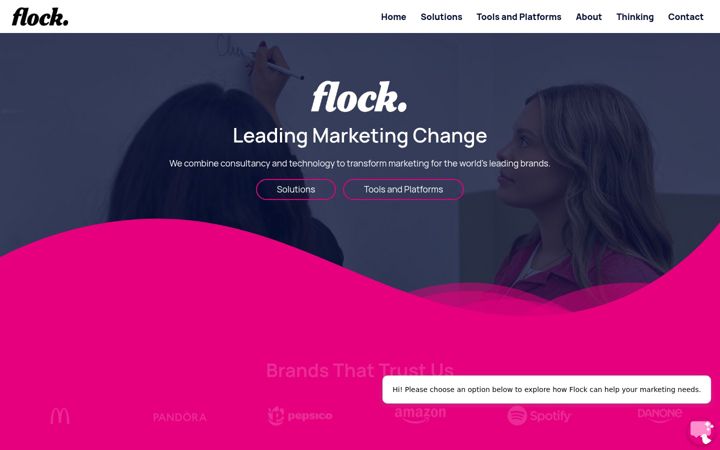 Screenshot of flock-associates.com