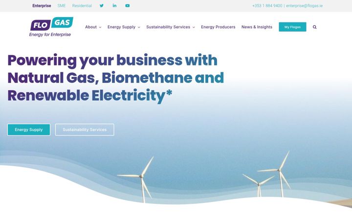 Captura de pantalla de flogasenterprise.ie