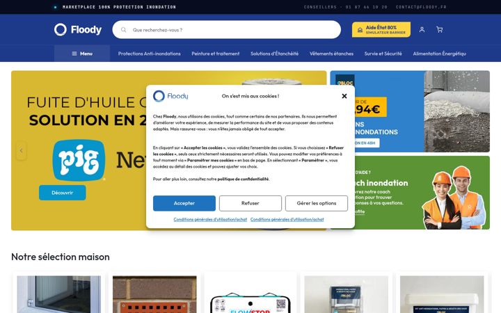Screenshot of floody.fr