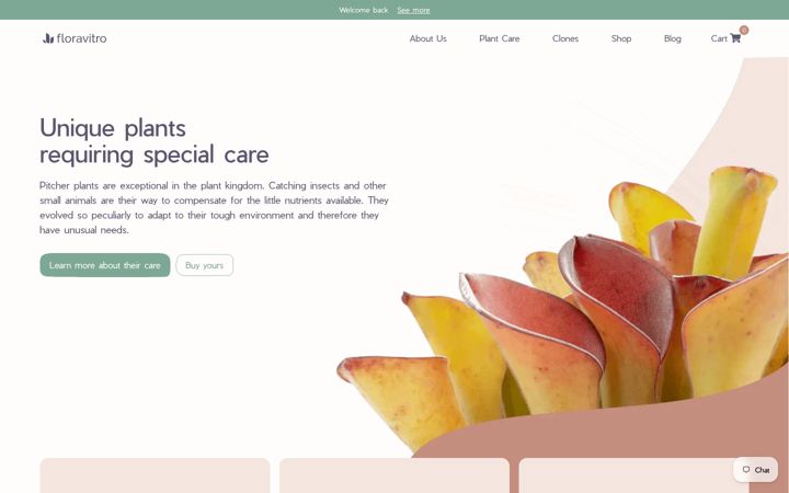 Screenshot of floravitro.com