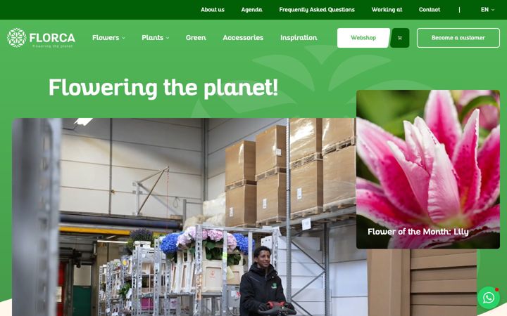 Screenshot of florca.com