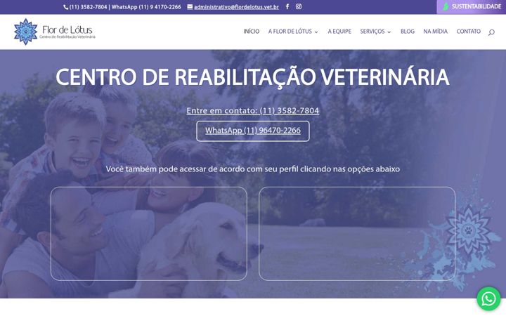 Screenshot of flordelotus.vet.br