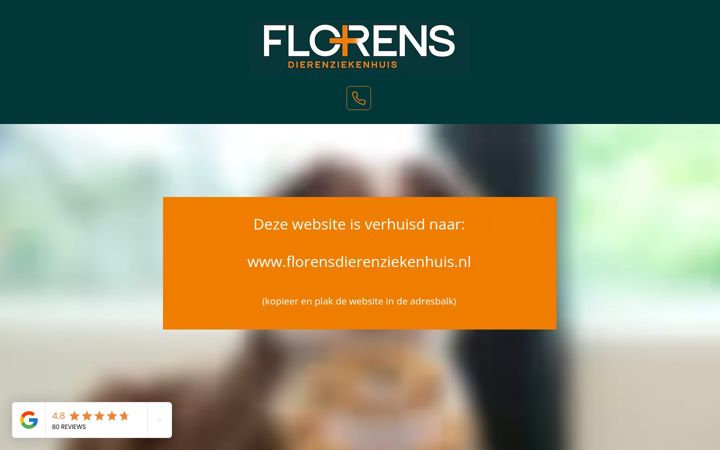 Screenshot of florens.nl