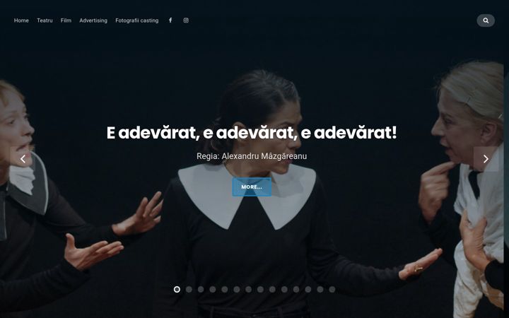 Screenshot of florentinatilea.ro