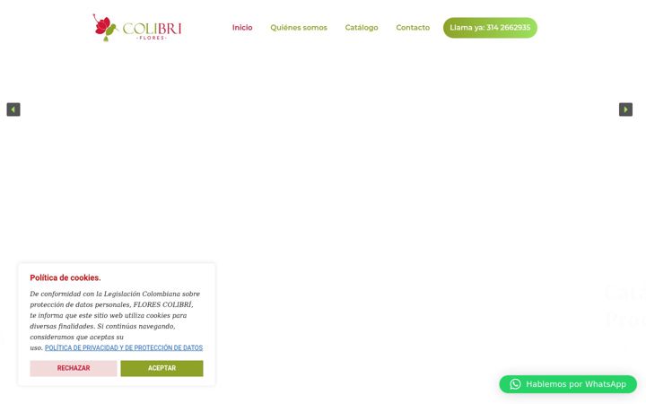 Screenshot of flores-colibri.com