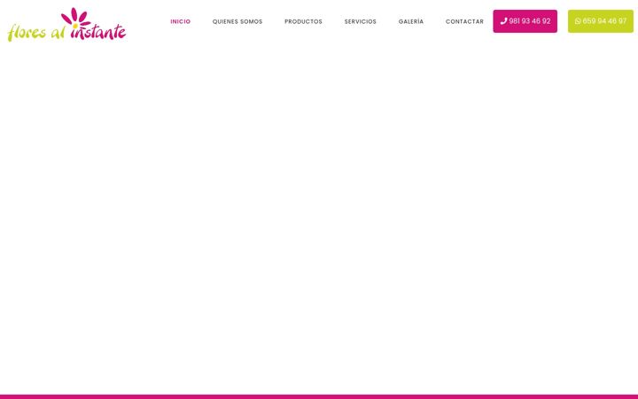 Screenshot of floresalinstante.net