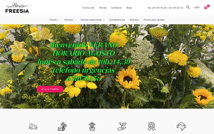 Captura de pantalla de floresfreesia.es