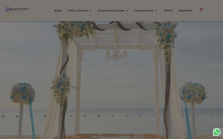 Screenshot of floresmalaga.com