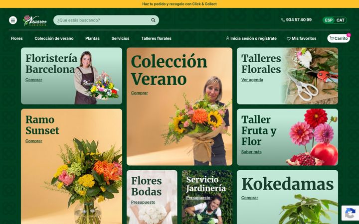 Screenshot of floresnavarro.com