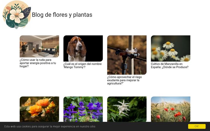 Screenshot ta' floresyplantasiris.es