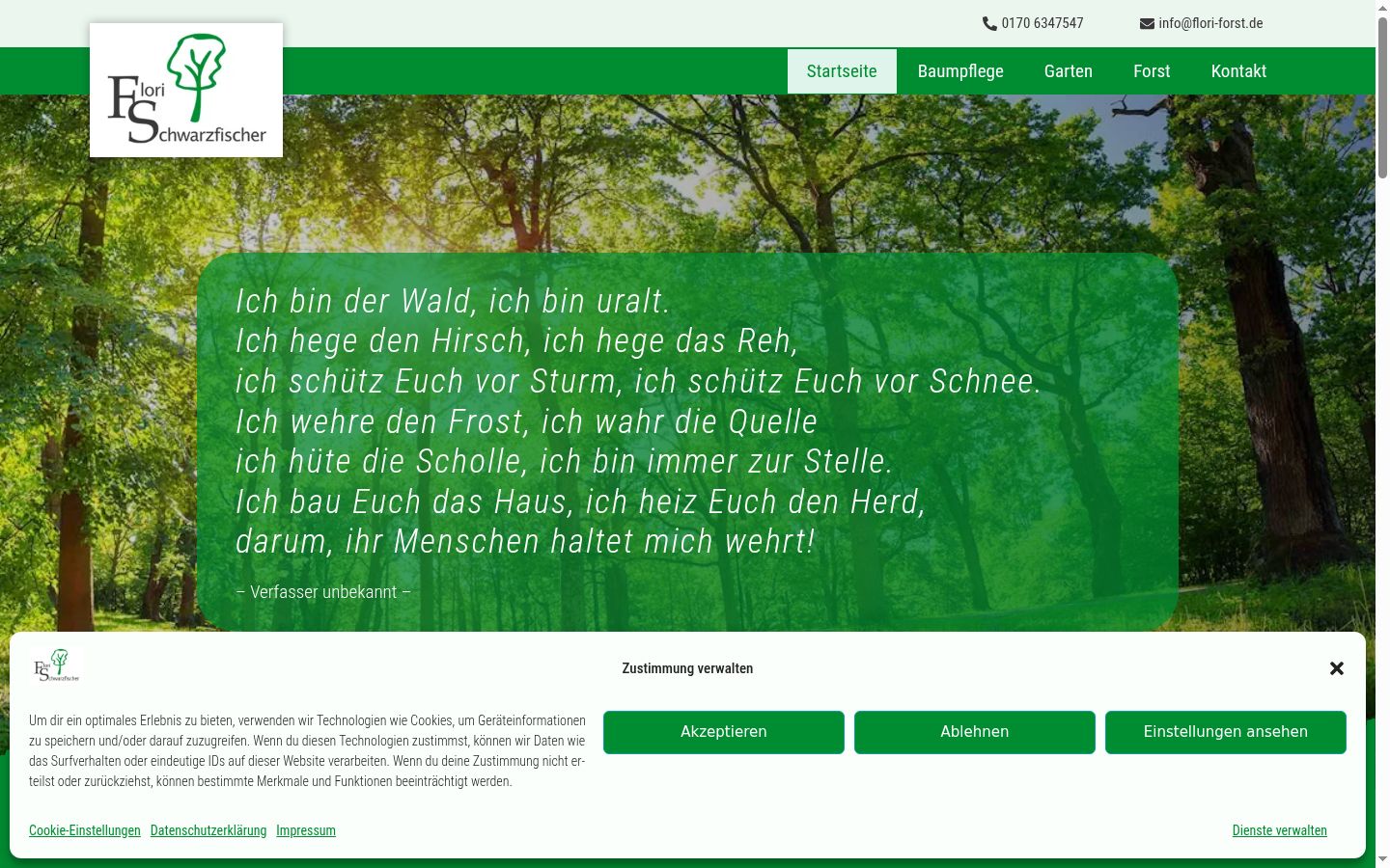 Screenshot of the consent banner shown before any interaction