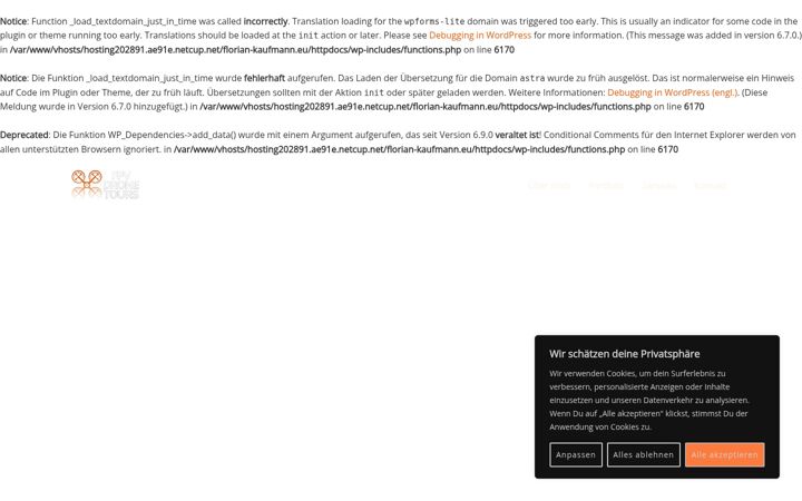 Screenshot of florian-kaufmann.eu