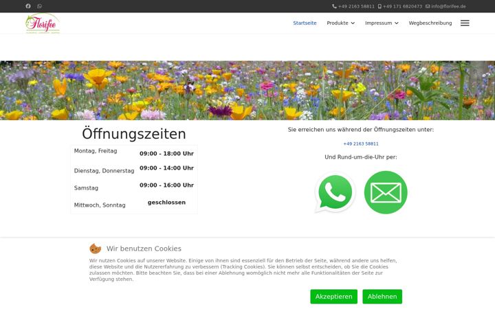 Screenshot of florifee.de